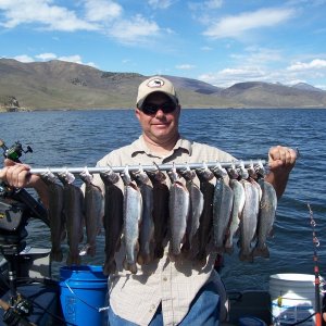 Deer Creek trout