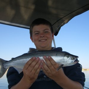 Another Wyatt Koke