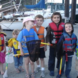 Our smallest C-Brats from 
TWO LUCKY FISH, C-DAISY,
E~FISHIN~C and PINGU