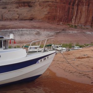 lots of C-Dories