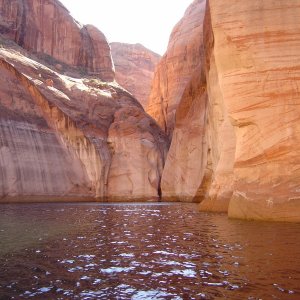canyon with red and gold