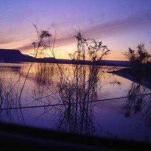 sunset in the tamarisks