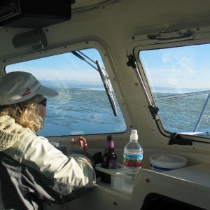 Media 'Ice off Strawberry Point, Whidbey Island- low 20's, no wind, low tidal exchange' in album 'Towing logs in Swinomish Channel'