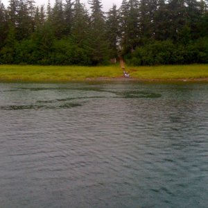 Media 'View of tram to Seymour Canal' in album 'Entering Oliver Inlet'