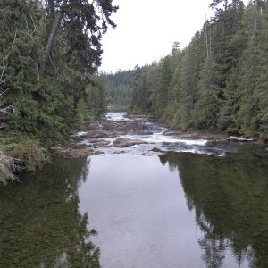 This is where the highway to Port Alice crosses the Marble River.  Years ago I kayaked down the river and then paddled to Coal Harbor to run the shuttle.  Lots of caves along the river, some showing signs of human habitation.