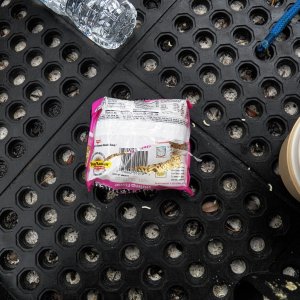 When I returned, a crow had gone under the flap of the bimini, into the V berth and got a package of ramen out the the grocery bag.  It had already opened it and eaten part of it.  Made a mess getting it out of the boat.