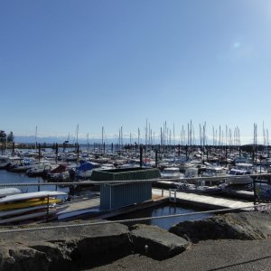 Waiting out the winds, again. This time from peaceful Schooner Cove Monday morning.