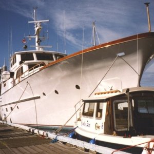 Bow Envy