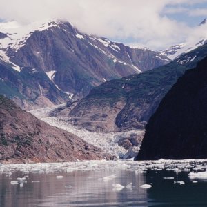 North Sawyer Glacier, Tracy Arm