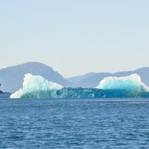 Iceberg floating in Tracy Arm entrance