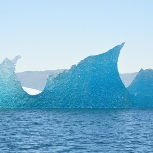 Another at Tracy Arm entrance