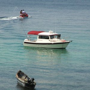 Pulinga at Contadora Island in the archipelago of the Pearl Islands