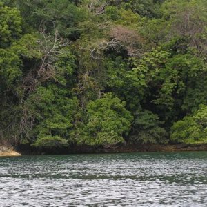 Pearl Island view a