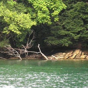 Pearl Island view b