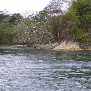 Pearl Island view c