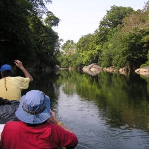 On Pulinga\'s tender down a river