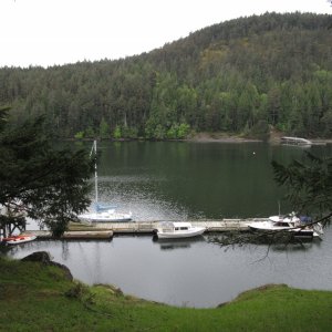 View from the trail above Reid Harbor dock