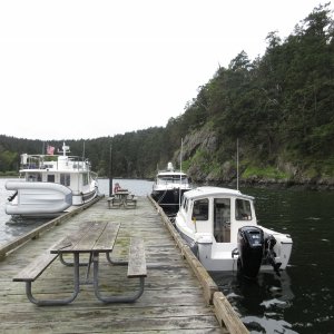 Reid Harbor dock Saturday afternoon