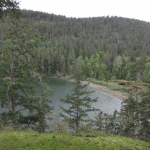 View from above Reid Harbor