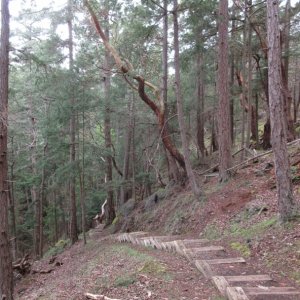 A steep decent from the Reid Harbor Trail down to the beach