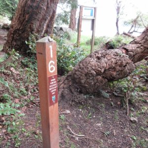 Campsites down at the beach are reseved for human-powered boaters only as part of the Cascadia Marine Trail System. Have always wondered, if I anchor out then row to shore in the dinghy with my tent, does that count?  Probably not.