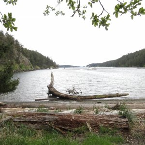 View of Reid Harbor from the beach