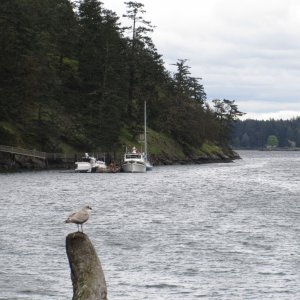 Looking back at the Reid Harbor dock from the beach