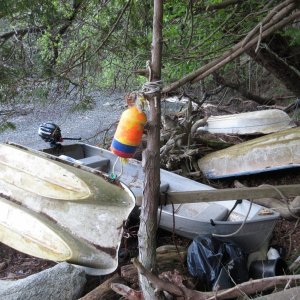 There are an abundance of forgotton dinghys at the launch ramp