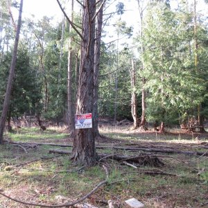 Some property for sale!  After this trip, I'm inclined to look into it!