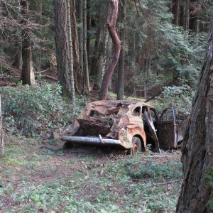An old car that either ran off the road or was disposed by pushing down into the weeds some time ago