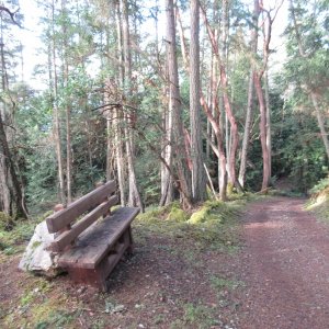 This bench is not a good omen for the return trip from the Lighthouse. Glad it was there - I used it coming back!