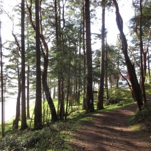 Lighthouse property through the trees