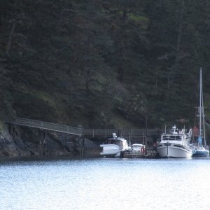 Back at Reid Harbor around 7:30