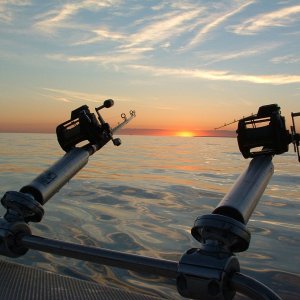 Media 'Watching the sun come up and anticipating the salmon' in album 'Watching the sun come up and anticipating the salmon'