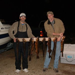 A good catch of walleye from Green Bay
