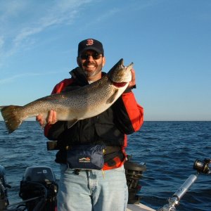 16.75 lb Brown