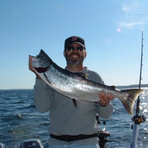 Early season King