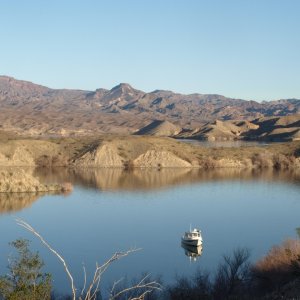 Media 'Lake Mohave C-Dory Rana Verde soaking up some rays and peaceful desert scenics' in album 'PICT0651 (Friday)
Our leader, Chris in 83 Dollar Cove.'