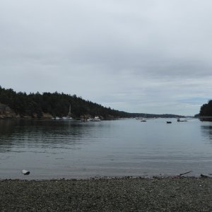 At the beach in Reid Harbor, Stuart Island (San Juans)