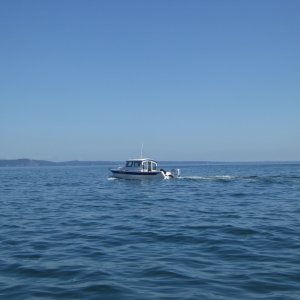 Rosario strait turned out to be flat calm