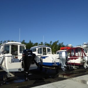 Look at that lineup - three C-dorys and a Sea Sport