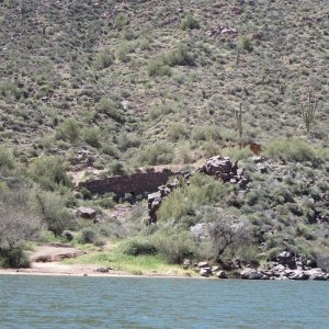 Apache Lake Road Rock Wall