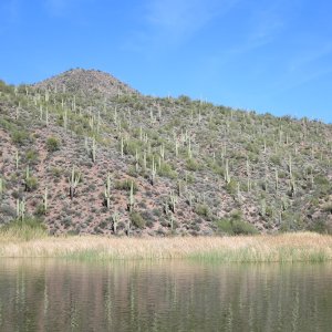 Apache Lake