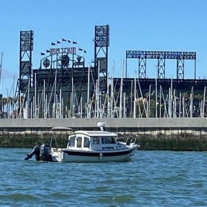 Octopus at the AT&T Park