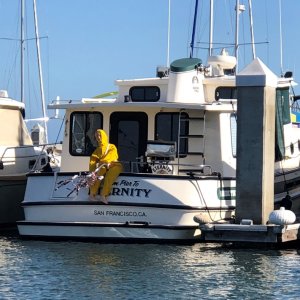 Sea lion scare crow at South Beach Marina