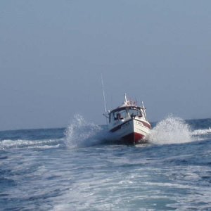 C-Pup16 front view at sea.jpg