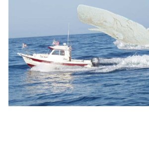 (C-Pup16 in Los Angeles) C-Pup encounters Moby Dick
