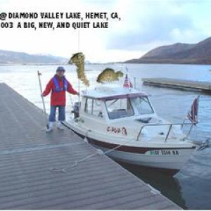 Diamond Valley Lake Nessie small
