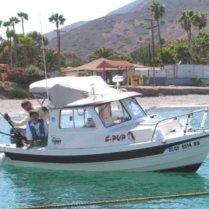 (C-Pup16 in Los Angeles) Catalina Gathering \"On The Sting\"