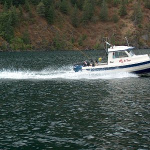 MzKaye skimming
